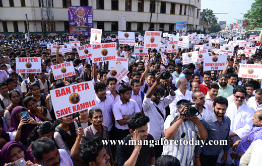 stuents  protest against Kambla ban in Mangalore